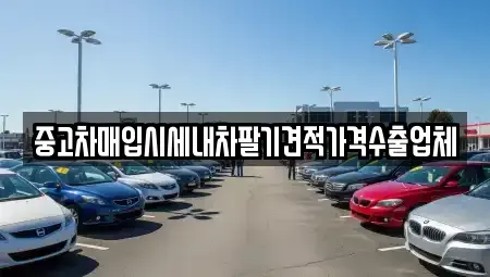 대전광역시 대덕구 목상동 중고차매입 전문 중고차매입시세내차팔기견적가격수출업체