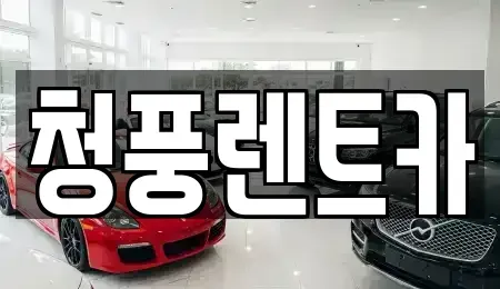 대전광역시 대덕구 이현동 렌트카 전문 청풍렌트카
