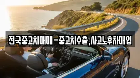 대전광역시 대덕구 이현동 중고차매입 전문 전국중고차매매-중고차수출,사고노후차매입