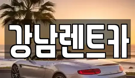 대전광역시 동구 신하동 렌트카 전문 강남렌트카