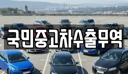 대전광역시 서구 만년동 중고차매매 전문 국민중고차수출무역