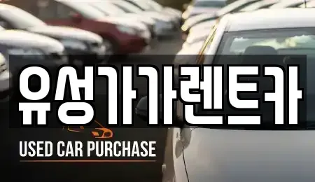 대전광역시 유성구 관평동 렌트카 전문 유성가가렌트카