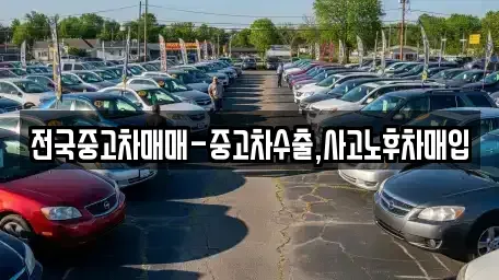 대전광역시 유성구 관평동 중고차 전문 전국중고차매매-중고차수출,사고노후차매입