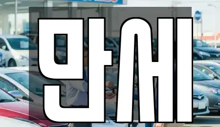 대전광역시 중구 안영동 렌트카,단기렌트카,장기렌트카,중고차,중고차매매,중고차매입