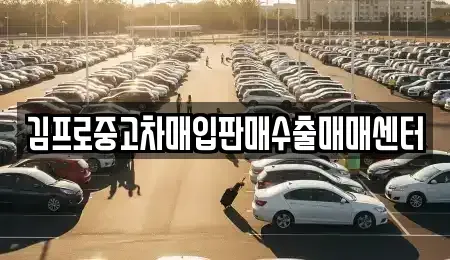 대전광역시 중구 안영동 중고차 전문 김프로중고차매입판매수출매매센터