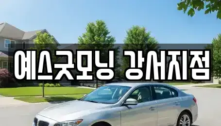 부산 강서구 신호동 렌트카 전문 예스굿모닝 강서지점