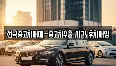 부산 강서구 신호동 중고차 전문 전국중고차매매-중고차수출,사고노후차매입