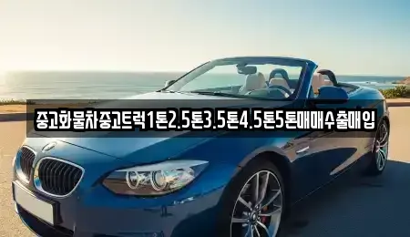 부산 강서구 신호동 중고차매입 전문 중고화물차중고트럭1톤2.5톤3.5톤4.5톤5톤매매수출매입