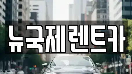 부산 동래구 명장동 렌트카 전문 뉴국제렌트카