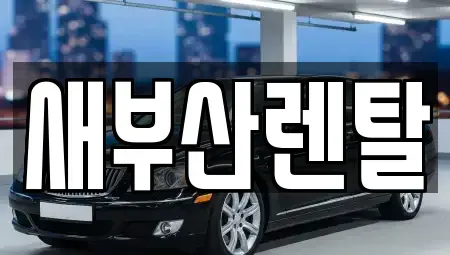 부산 동래구 명장동 렌트카 전문 새부산렌탈
