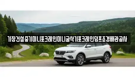 부산 동래구 명장동 중고차매입 전문 기장건설중기미니포크레인미니굴삭기포크레인덤프조경배관공사