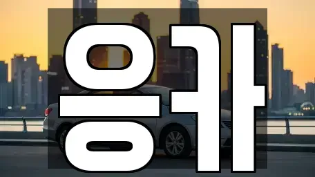부산 동래구 칠산동 렌트카 전문 응카