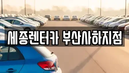 부산 사하구 당리동 렌트카 전문 세종렌터카 부산사하지점