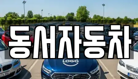 부산 사하구 당리동 중고차 전문 동서자동차