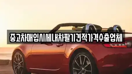 부산 사하구 당리동 중고차매입 전문 중고차매입시세내차팔기견적가격수출업체