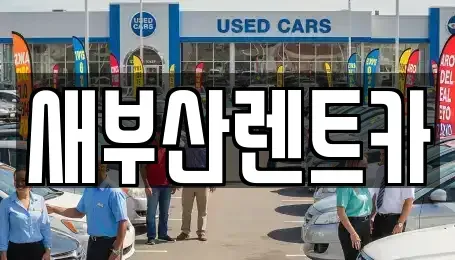 부산 서구 서대신동1가 렌트카 전문 새부산렌트카