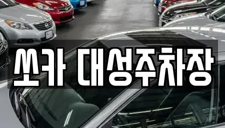 부산 서구 서대신동1가 렌트카,단기렌트카,장기렌트카,중고차,중고차매매,중고차매입
