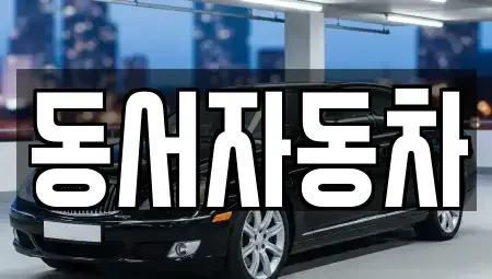 부산 서구 서대신동1가 중고차 전문 동서자동차