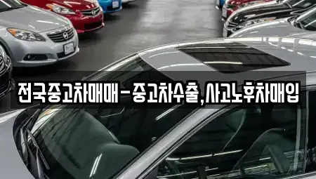부산 서구 서대신동1가 중고차 전문 전국중고차매매-중고차수출,사고노후차매입