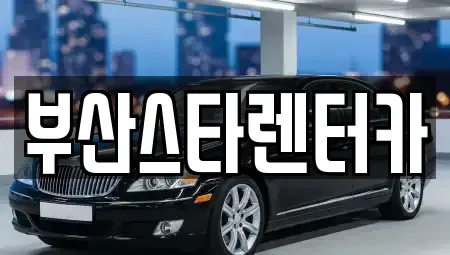 부산 수영구 망미동 렌트카 전문 부산스타렌터카