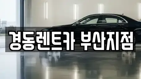 부산 수영구 망미동 장기렌트카 전문 경동렌트카 부산지점