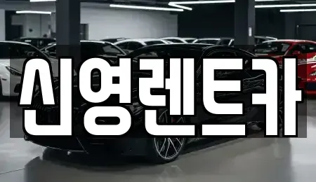 부산 수영구 망미동 장기렌트카 전문 신영렌트카