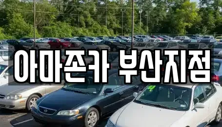 부산 수영구 망미동 장기렌트카 전문 아마존카 부산지점