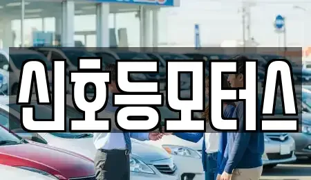 부산 수영구 망미동 중고차 전문 신호등모터스