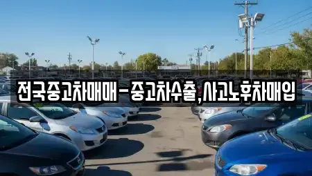 부산 수영구 망미동 중고차 전문 전국중고차매매-중고차수출,사고노후차매입