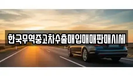 부산 수영구 망미동 중고차 전문 한국무역중고차수출매입매매판매시세
