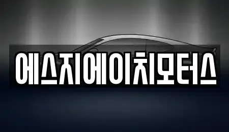 부산 수영구 민락동 렌트카 전문 에스지에이치모터스