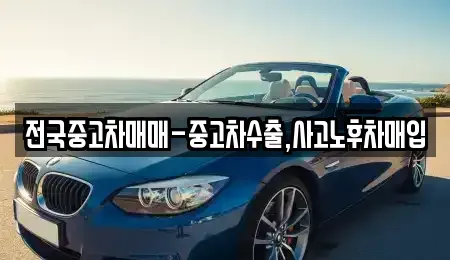 부산 수영구 민락동 중고차매매,단기렌트카,중고차매입,장기렌트카,중고차,렌트카