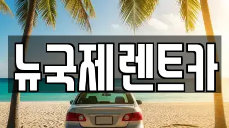 부산 연제구 연산동 단기렌트카 전문 뉴국제렌트카