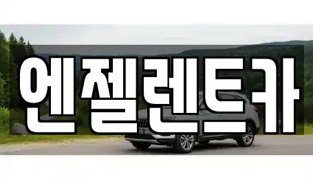 부산 연제구 연산동 렌트카 전문 엔젤렌트카