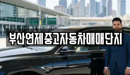 부산 연제구 연산동 중고차 전문 부산연제중고자동차매매단지