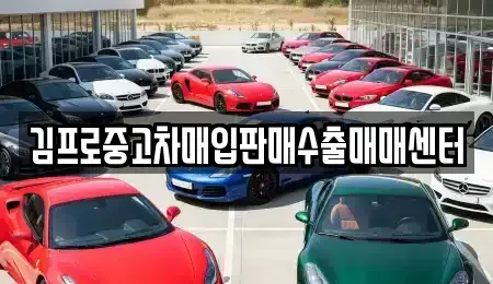 부산 연제구 연산동 중고차매입 전문 김프로중고차매입판매수출매매센터
