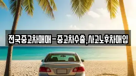 부산 영도구 대평동2가 중고차 전문 전국중고차매매-중고차수출,사고노후차매입