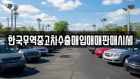 부산 영도구 중고차 전문 한국무역중고차수출매입매매판매시세
