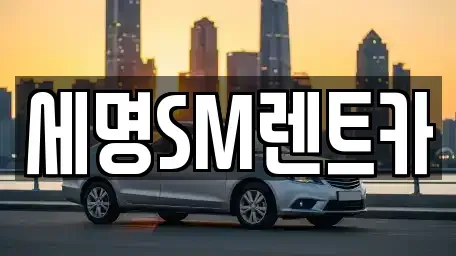 부산 중구 동광동2가 렌트카 전문 세명SM렌트카