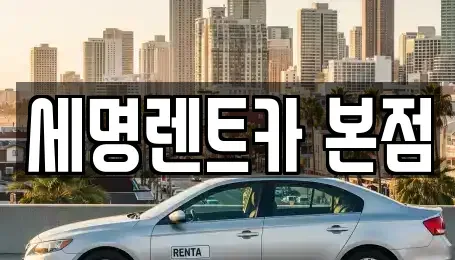 부산 중구 동광동2가 렌트카,단기렌트카,장기렌트카,중고차,중고차매매,중고차매입