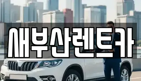 부산 중구 창선동2가 렌트카 전문 새부산렌트카