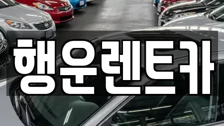 부산광역시 강서구 미음동 렌트카 전문 행운렌트카