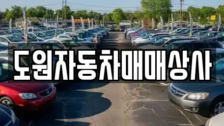 부산광역시 강서구 미음동 중고차,렌트카,중고차매입,중고차매매,장기렌트카,단기렌트카
