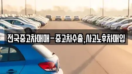 부산광역시 강서구 미음동 중고차 전문 전국중고차매매-중고차수출,사고노후차매입
