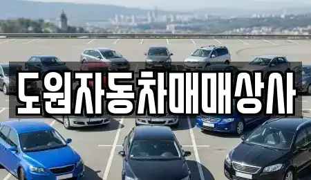 부산광역시 강서구 미음동 중고차매매 전문 도원자동차매매상사