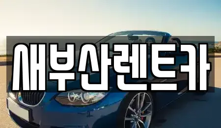 부산광역시 동래구 단기렌트카 전문 새부산렌트카