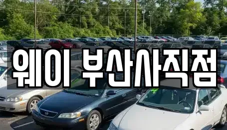 부산광역시 동래구 렌트카 전문 웨이 부산사직점