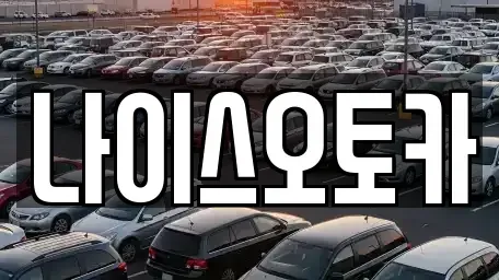 부산광역시 동래구 장기렌트카 전문 나이스오토카