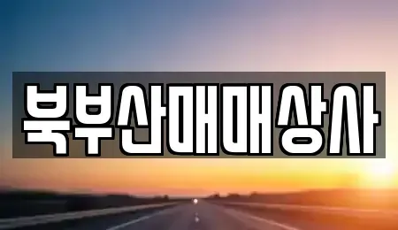 부산광역시 동래구 중고차매매 전문 북부산매매상사