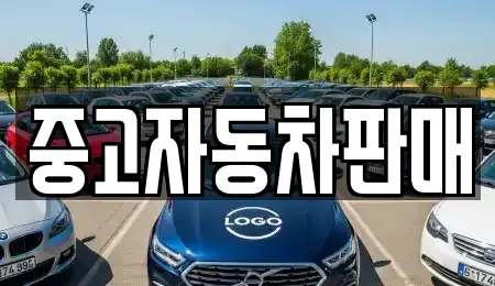 부산광역시 동래구 중고차매매 전문 중고자동차판매